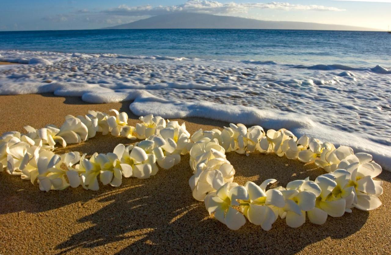 Diamond Head View Close To Waikiki Beach With Parking Honolulu Exteriér fotografie