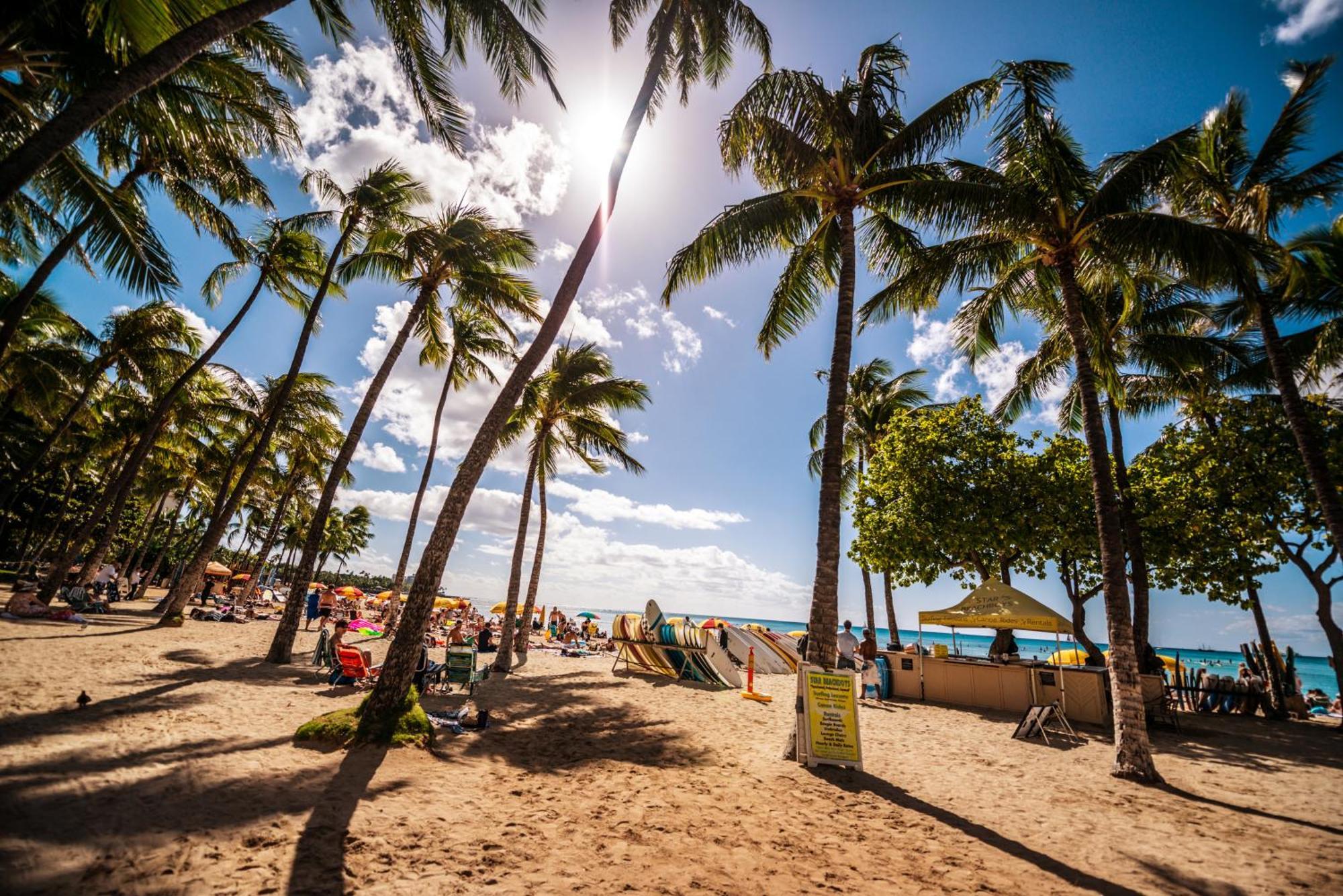 Diamond Head View Close To Waikiki Beach With Parking Honolulu Exteriér fotografie